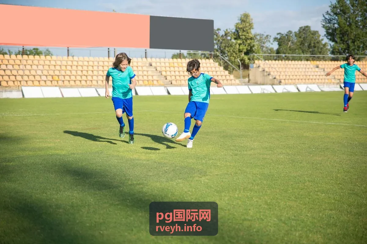 pg国际网公告发布与通知方式说明